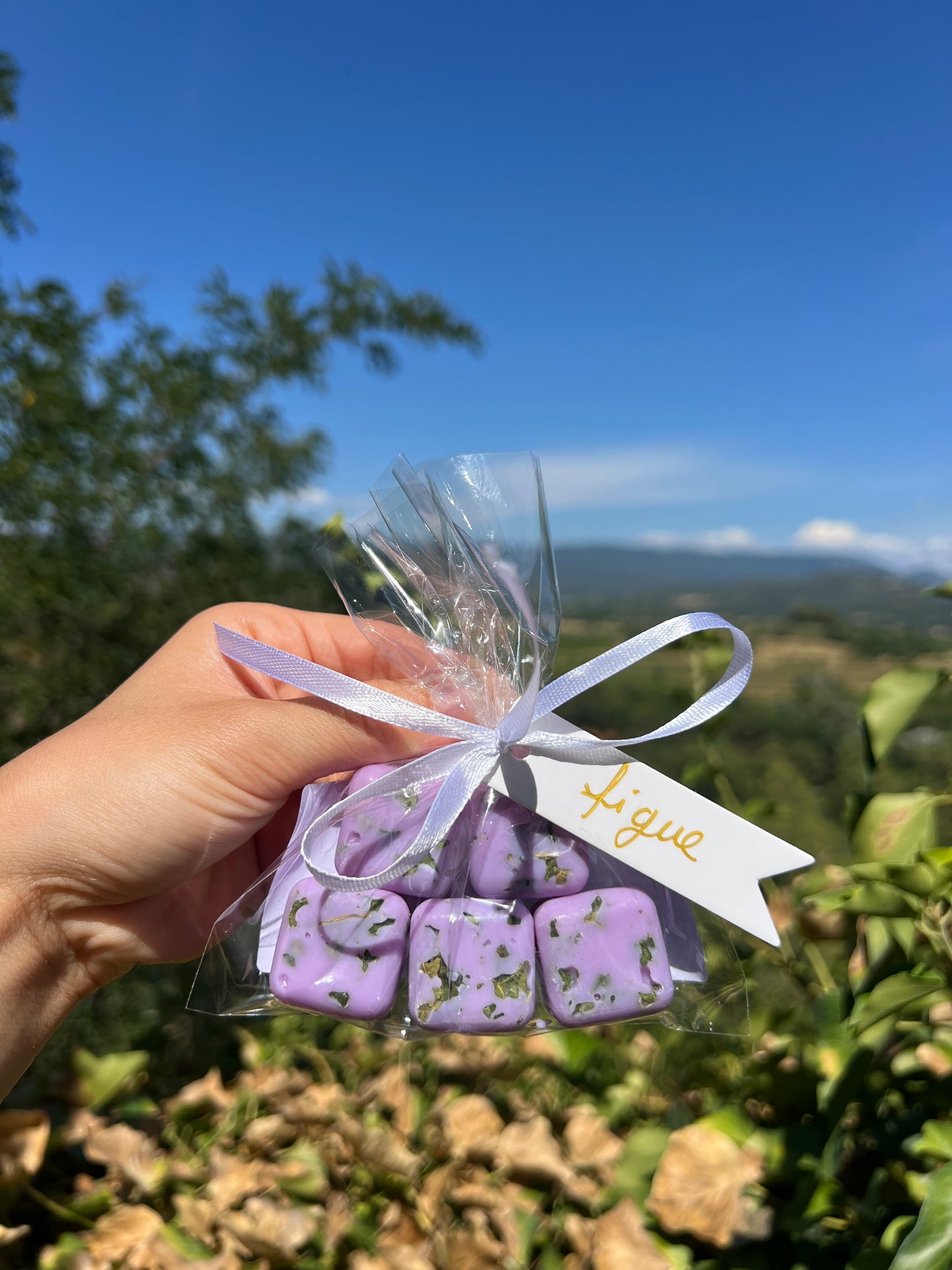 Fondants pour parfumer la maison - 100 % naturel.